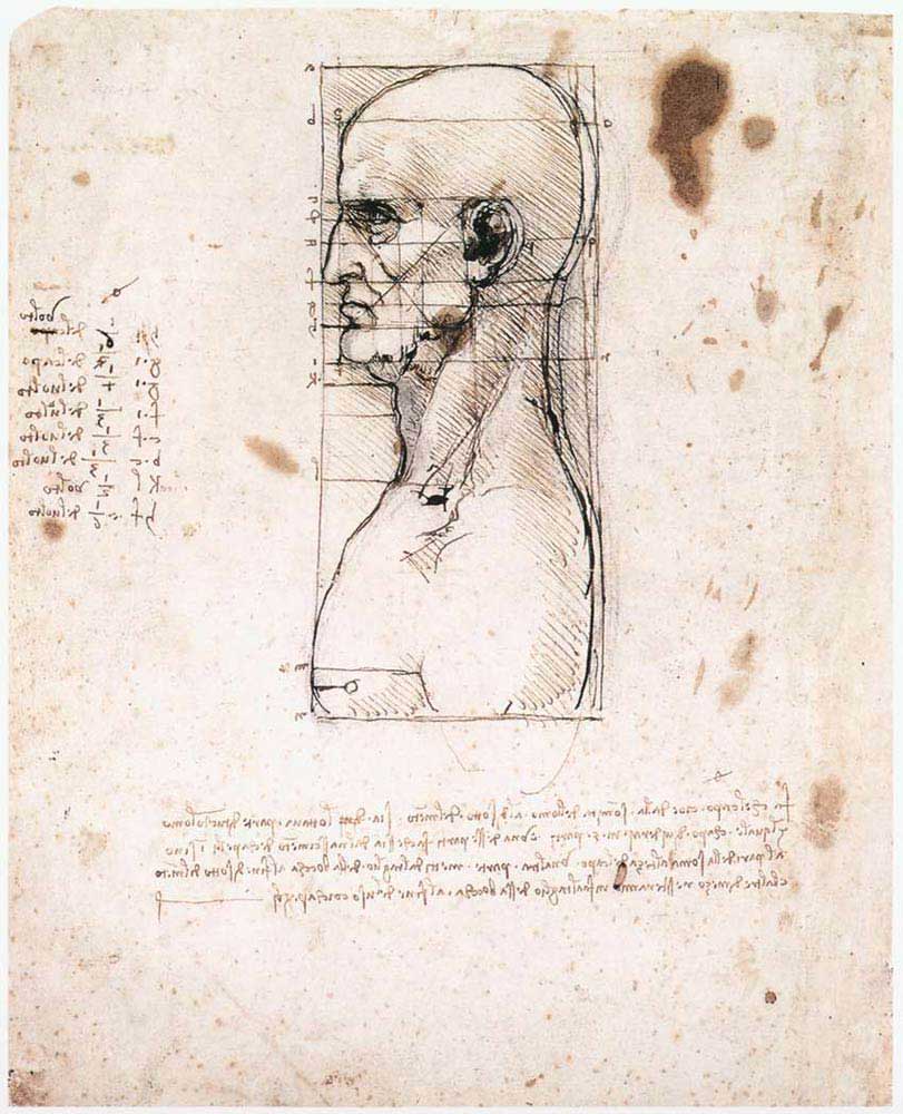 Leonardo Da Vinci Erkek Başının Profil Oranları