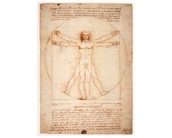 Leonardo Da Vinci Vitruvian Man