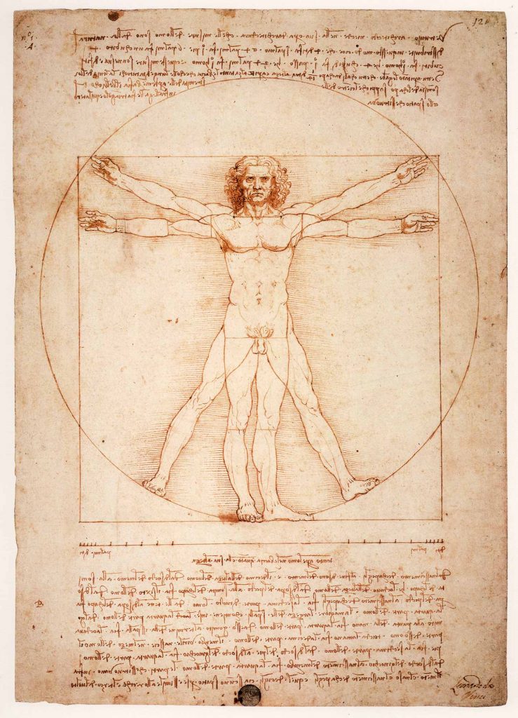 Leonardo Da Vinci Vitruvian Man