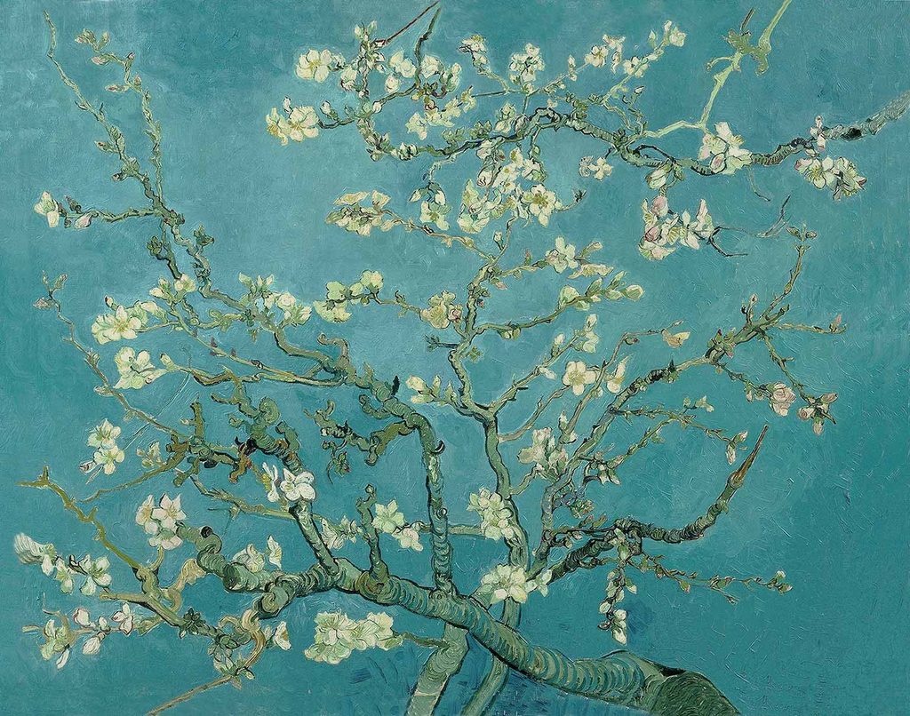 Vincent van Gogh Badem Çiçekleri