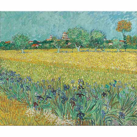 Vincent van Gogh Arles'e Bakış ve Süsenler