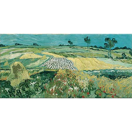 Vincent van Gogh Auvers Düzlüğü