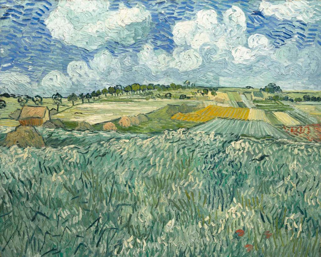 Vincent van Gogh Auvers'te Çayırlık