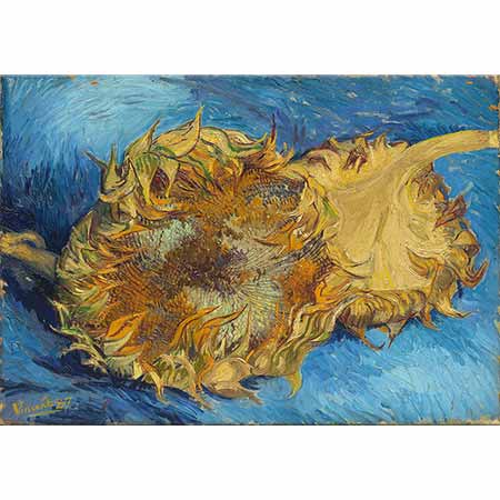 Vincent van Gogh Ayçiçekleri