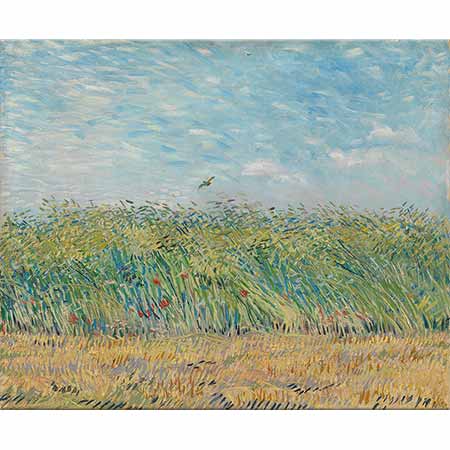 Vincent van Gogh Buğday Tarlası ve Keklik