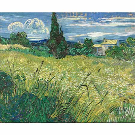 Vincent van Gogh Buğday Tarlası ve Selviler