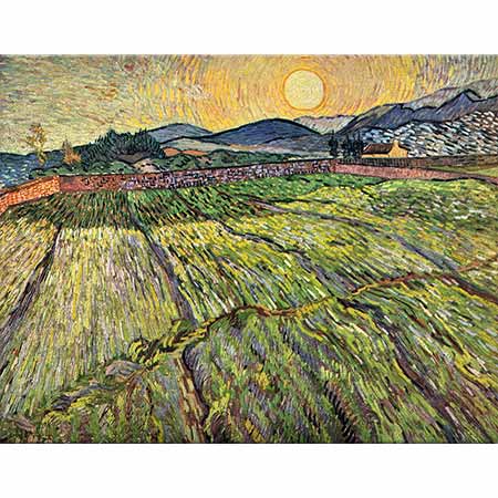Vincent van Gogh Çiçeklenmiş Tarlalar