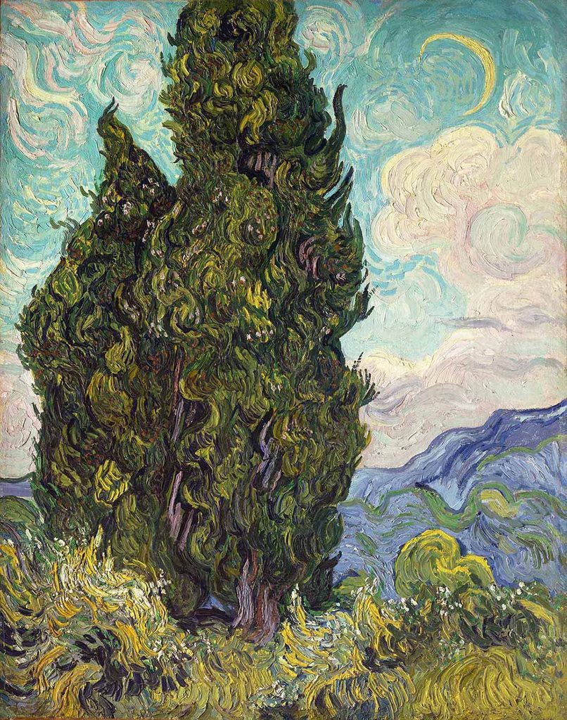 Vincent van Gogh Selviler