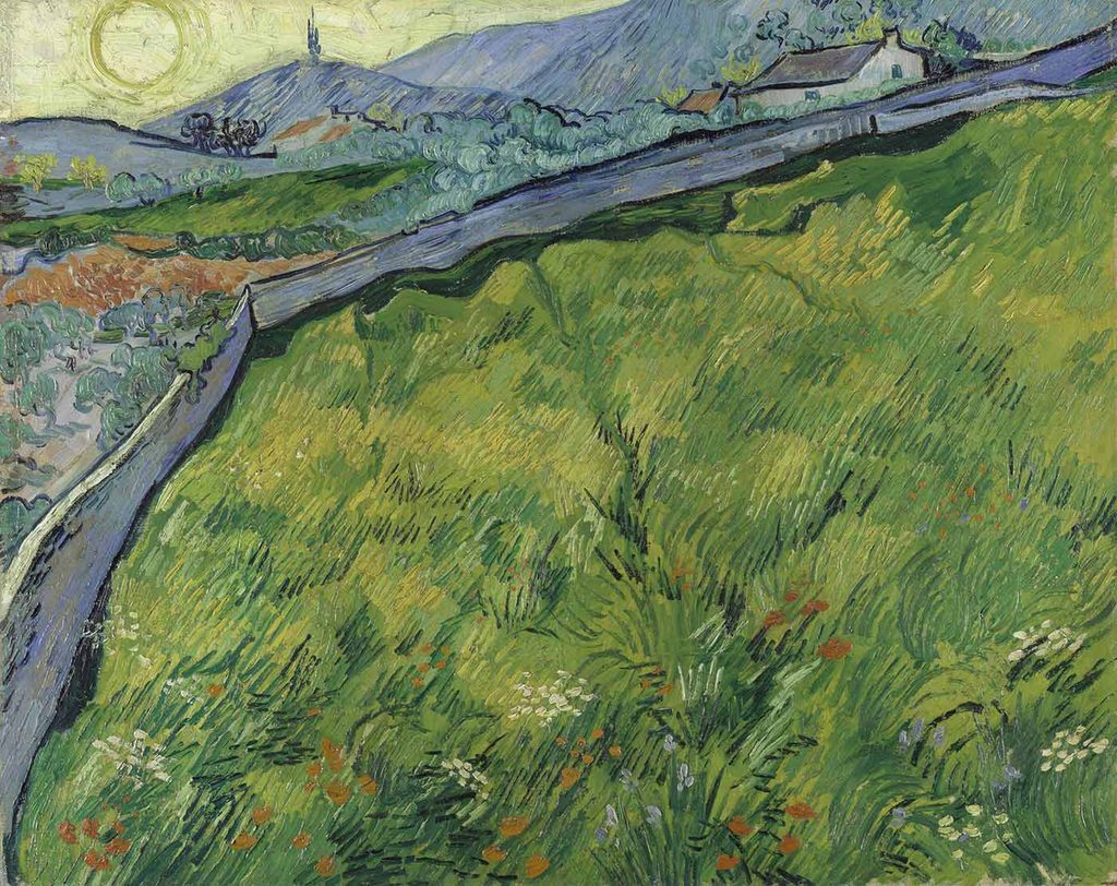 Vincent van Gogh Buğday Tarlası
