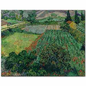 Vincent van Gogh Gelincik Tarlası