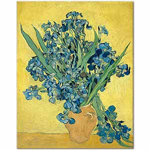 Vincent van Gogh Süsenler