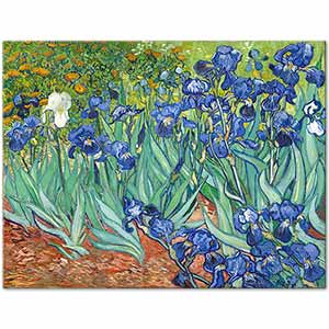 Vincent van Gogh Tarlada Süsenler
