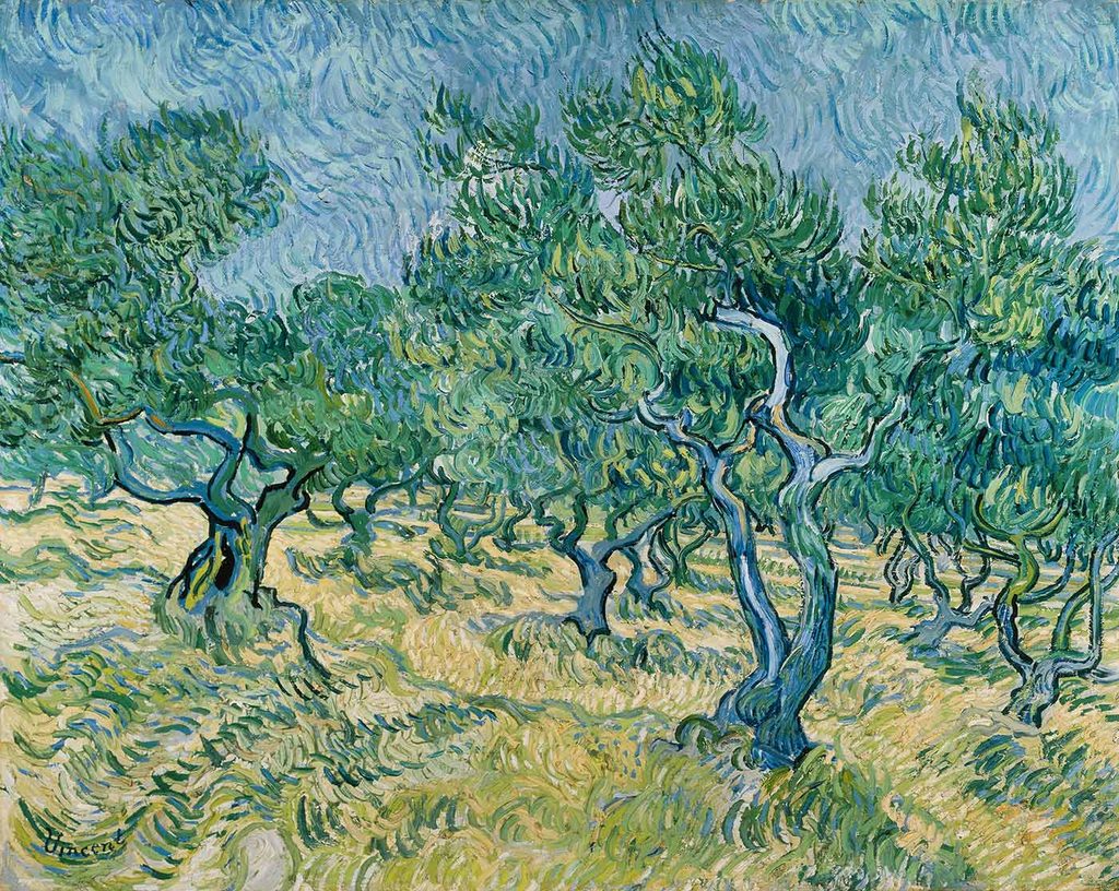 Vincent van Gogh Zeytinlik Manzarası