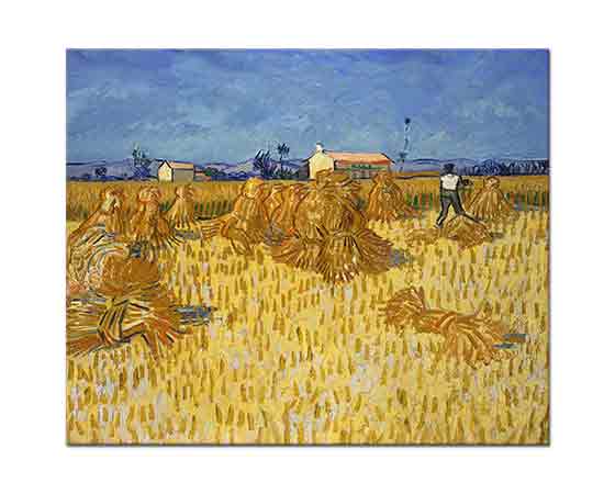 Vincent Willem van Gogh Provence'te Hasat