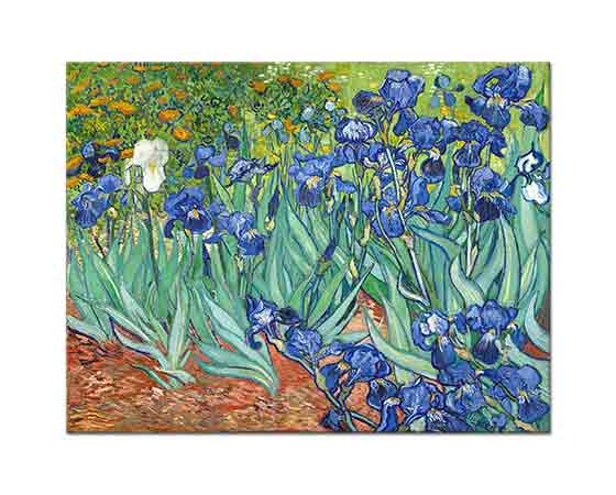 Vincent Willem van Gogh Tarlada Süsenler