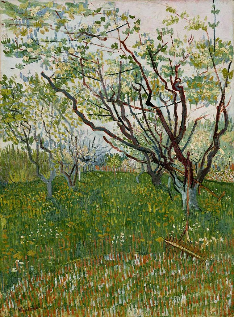 Vincent van Gogh Meyve Çiçekleri
