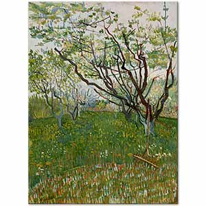 Vincent van Gogh Meyve Çiçekleri