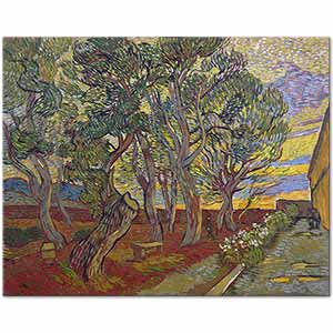 Vincent van Gogh Saint Paul Hastanesi Bahçesi