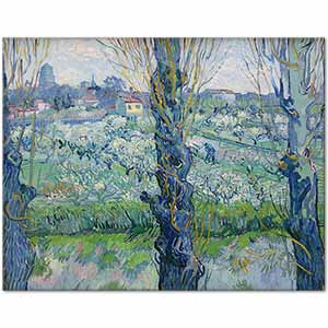 Vincent van Gogh Arles'e Bakış