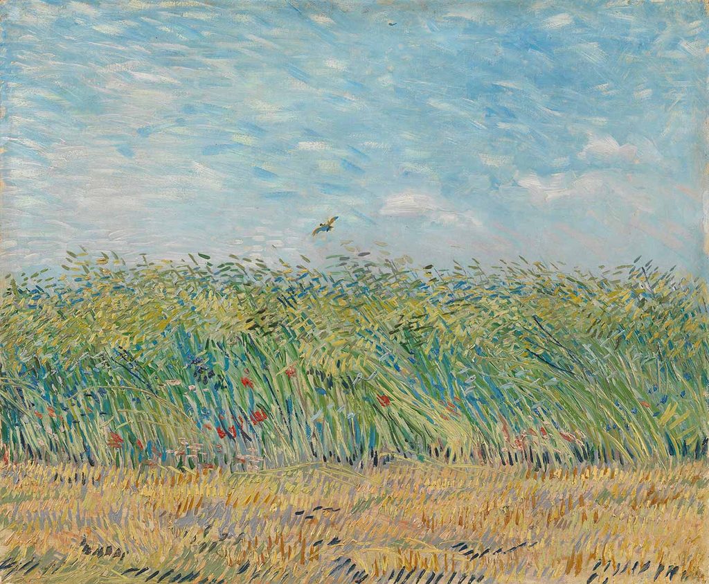 Vincent van Gogh Buğday Tarlası ve Keklik
