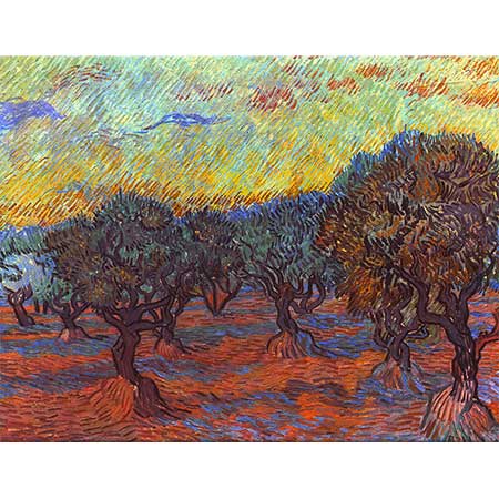 Vincent van Gogh Zeytinlik Korusu