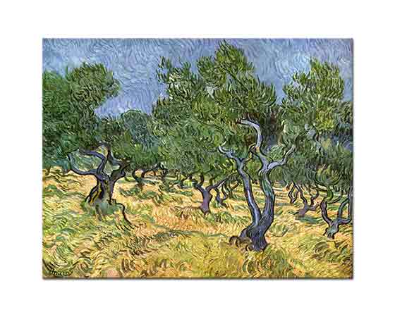 Vincent Willem van Gogh Zeytinlik Manzarası