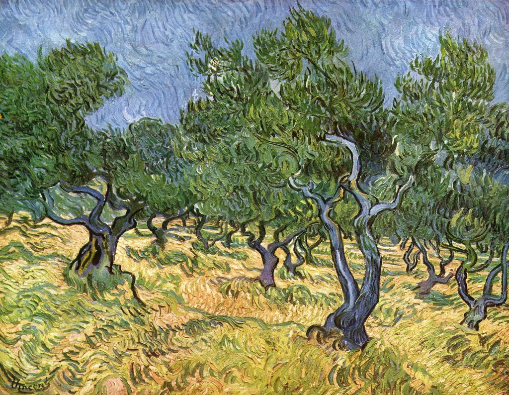 Vincent van Gogh Zeytinlik Manzarası