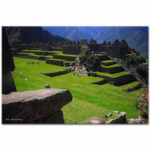Tayfun Karabağ Machu Picchu Peru
