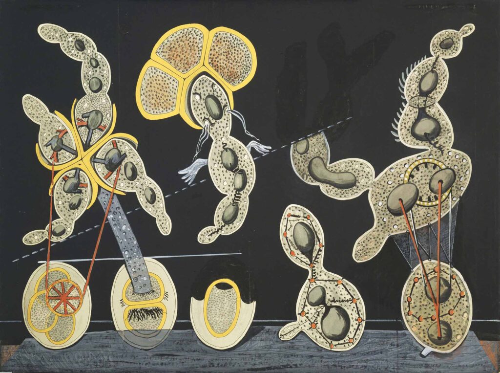Max Ernst Biyolojik ilişkiler