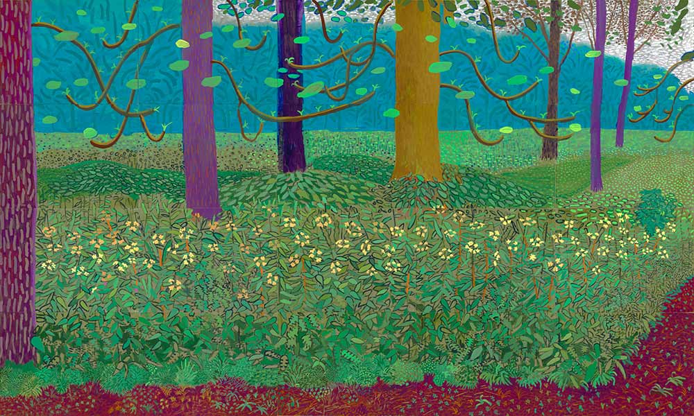 David Hockney Bahçede