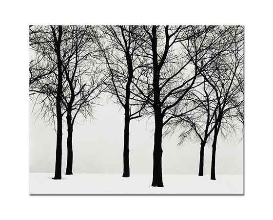 Henri Cartier Bresson Karda Ağaçlar