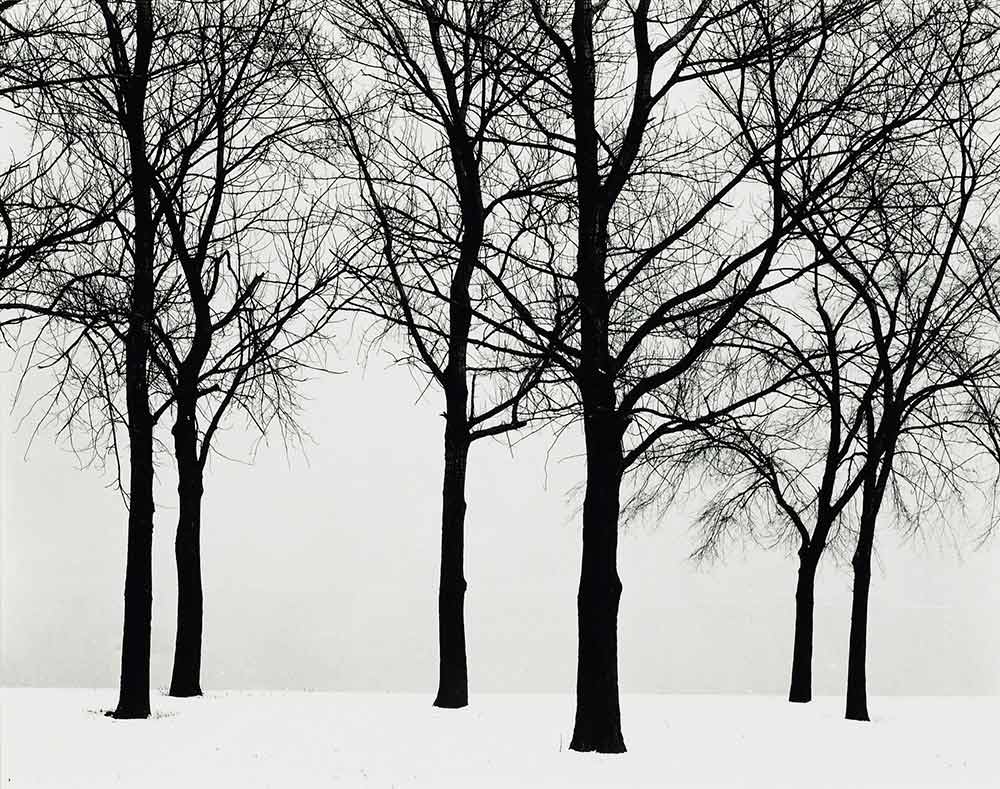 Henri Cartier Bresson Karda Ağaçlar