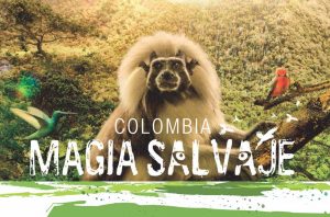 Kolombiya Vahşi Büyü Filmi