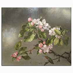Martin Johnson Heade, Elma çiçekleri, 1875