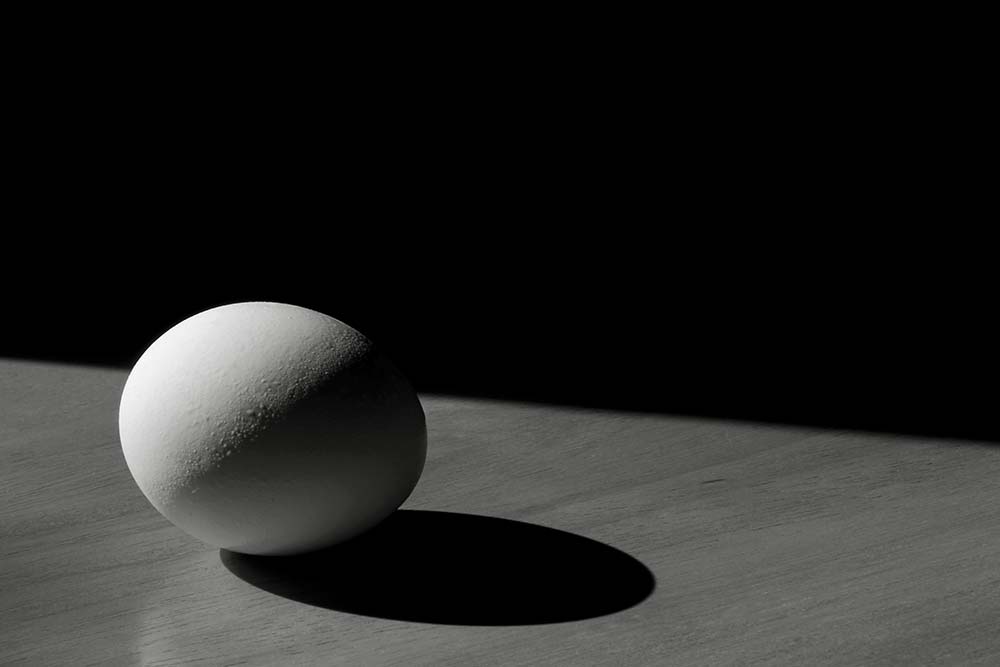 Josef Sudek inanılmaz yemelik yumurta