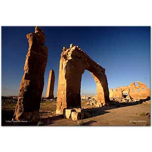 Tayfun Karabağ Harran Şanlıurfa