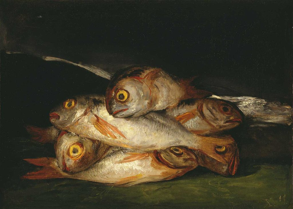 Francisco Goya Altın Çipura