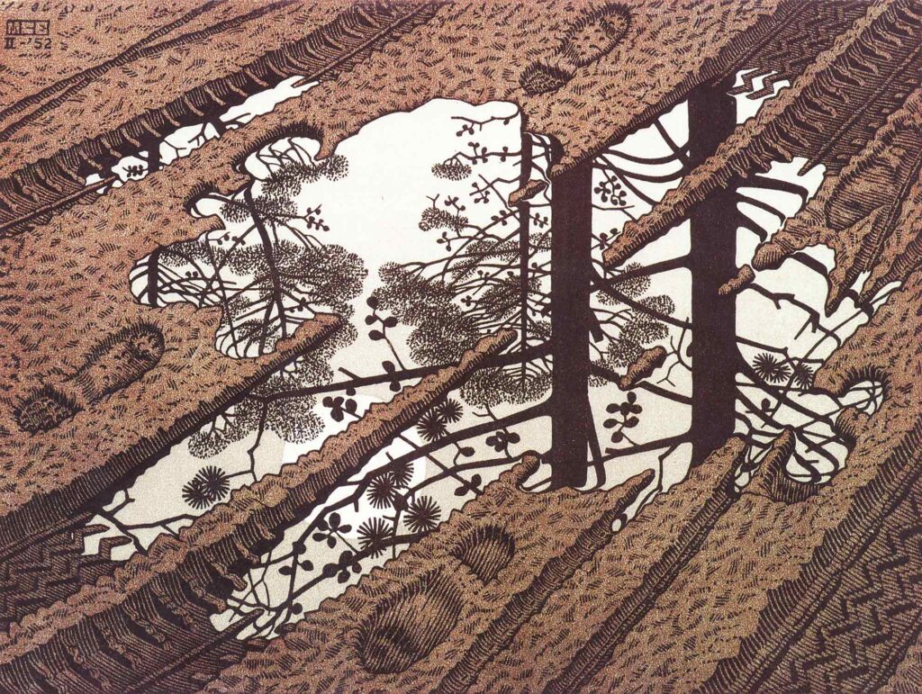 Maurits Cornelis Escher Su Birikintisi
