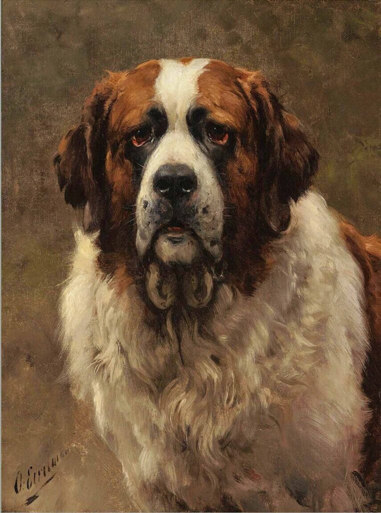 Otto Eerelman Saint Bernard