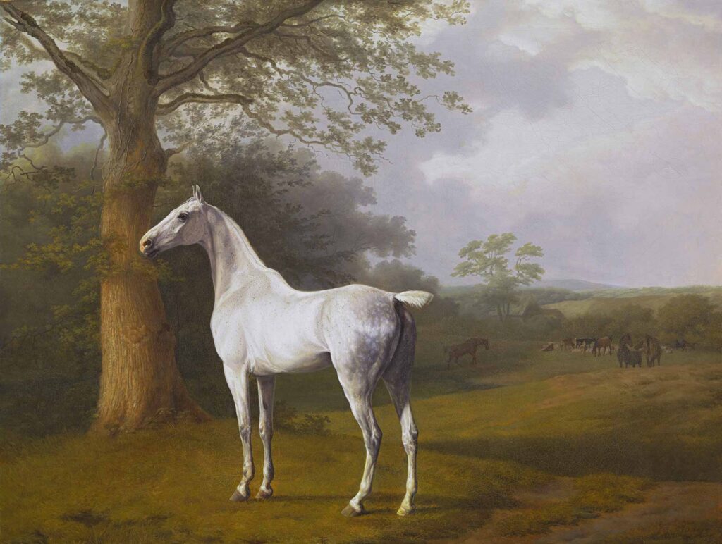 Jacques Laurent Agasse Beyaz At