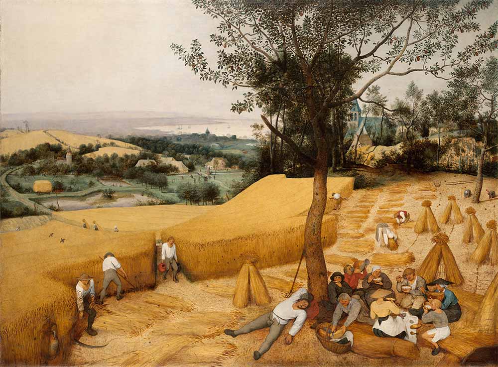 Pieter Bruegel Hasat