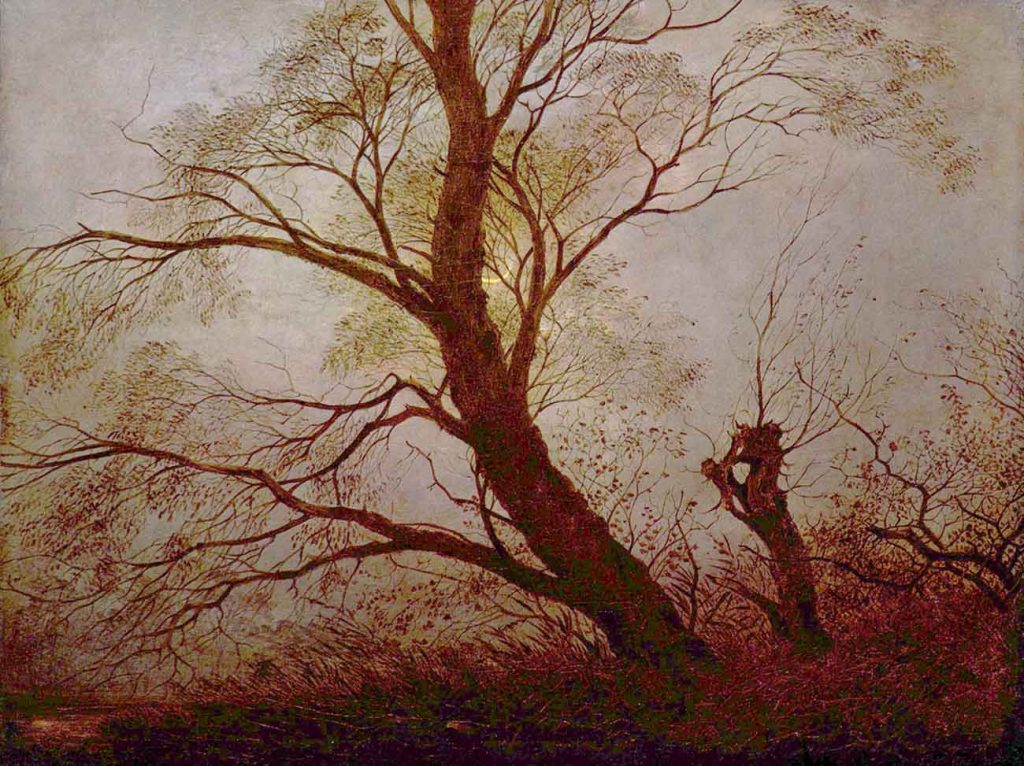 Caspar David Friedrich Mehtapta Ağaçlar