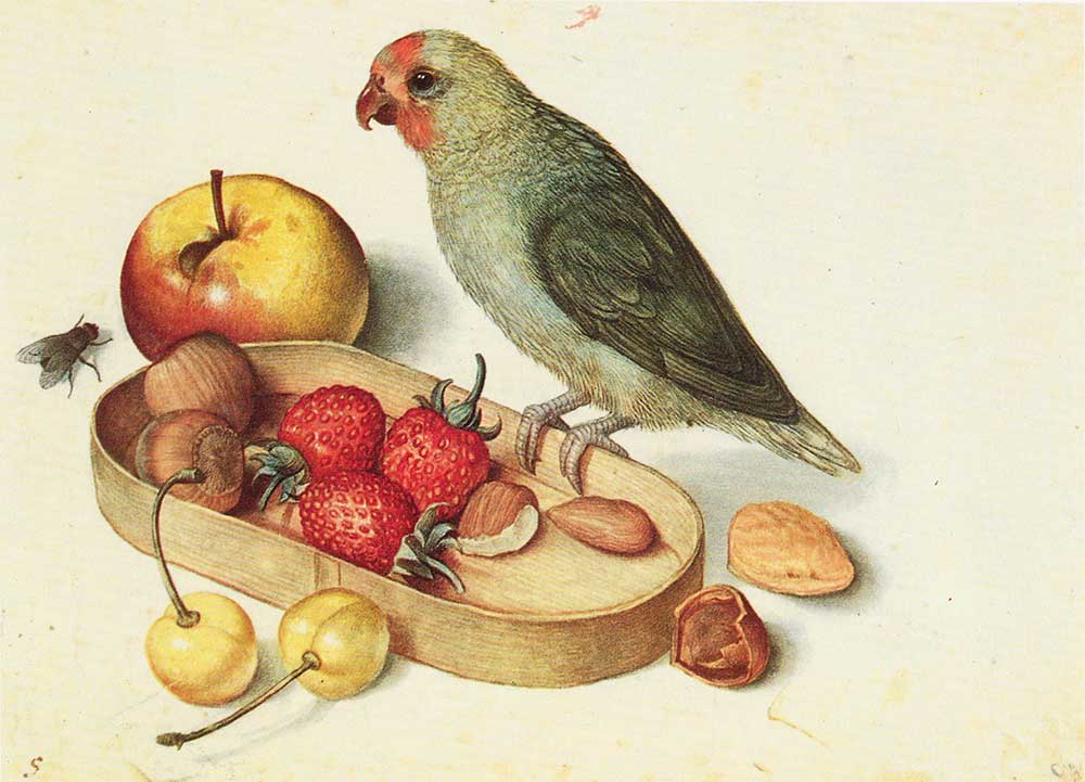 Georg Flegel Kuş ve Meyveli Natürmort