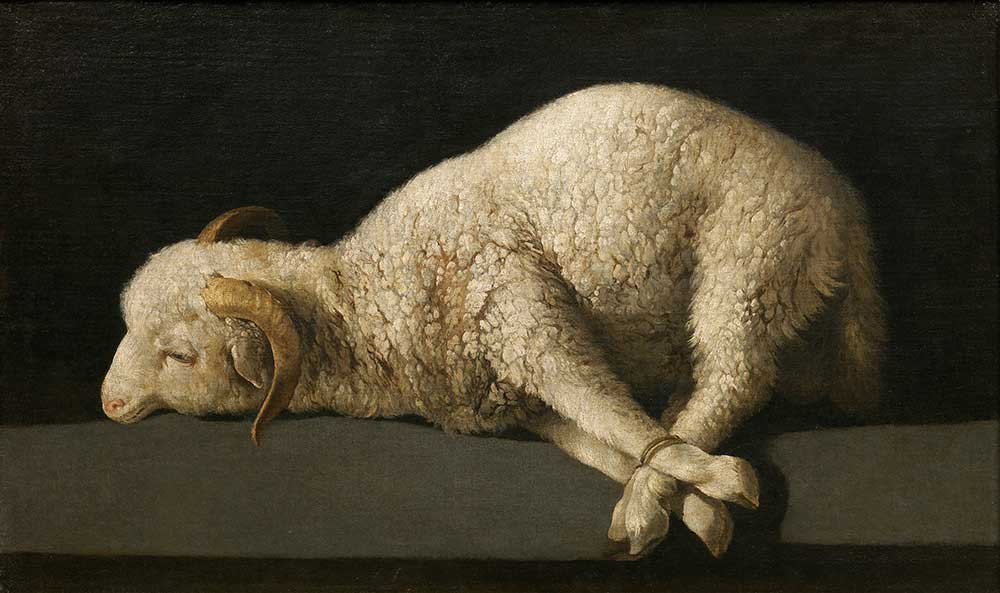 Francisco De Zurbaran Tanrının Kuzusu