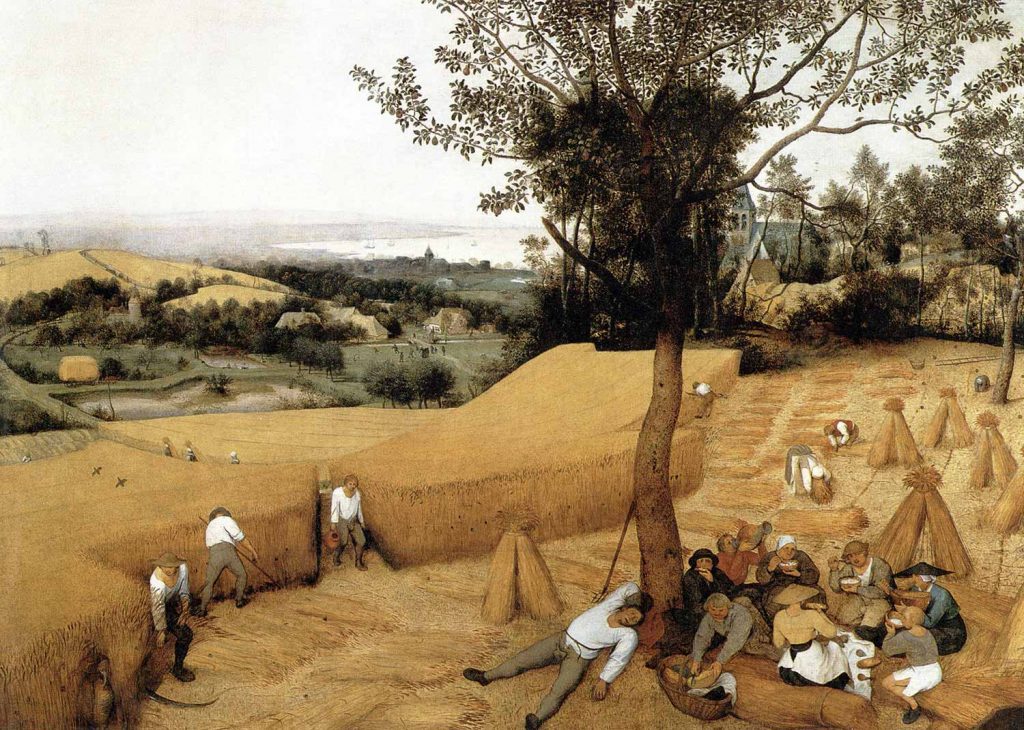 Pieter Bruegel Hasat
