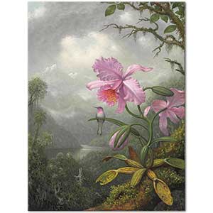 Martin Johnson Heade Orkide Üstüne Tünemiş Sinek Kuşu