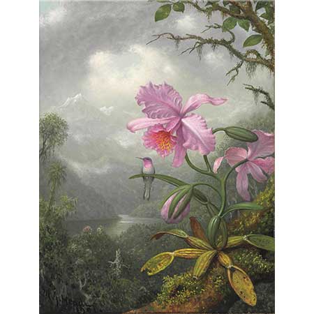 Martin Johnson Heade Orkide Üstüne Tünemiş Sinek Kuşu