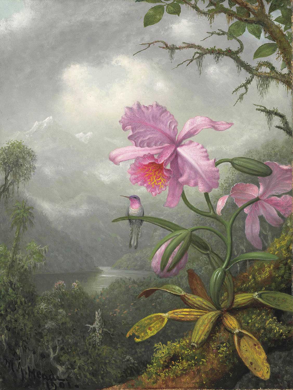 Martin Johnson Heade Orkide Üstüne Tünemiş Sinek Kuşu