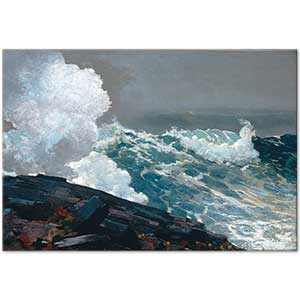 Winslow Homer Poyraz