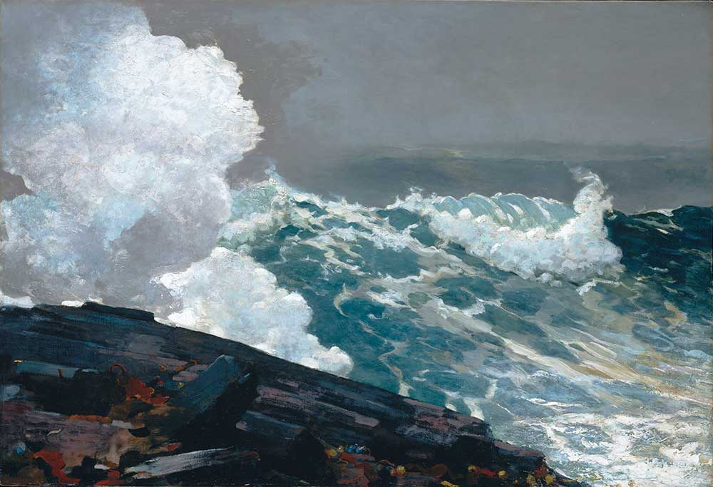 Winslow Homer Poyraz